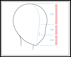 Basic Nose 3/4 View Drawing
