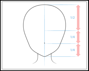 Basic Nose Front View Drawing