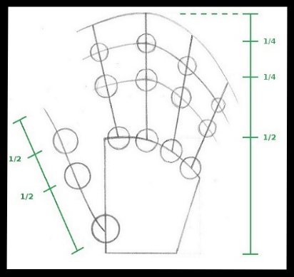 Measure and draw the thumb (2)