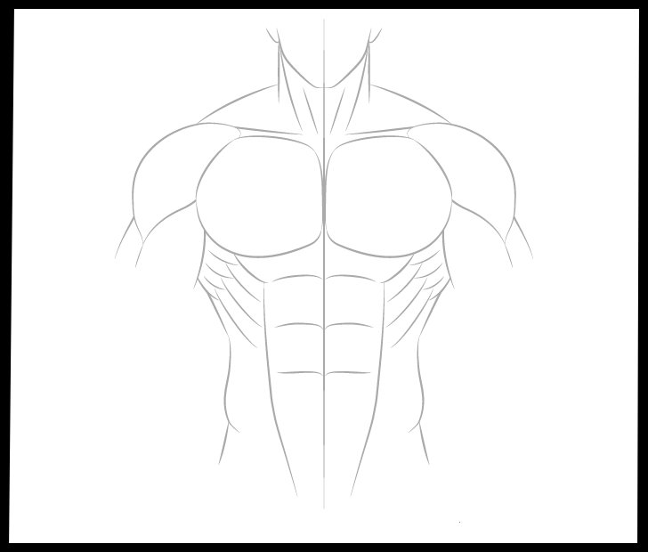 anime_male_body_side_muscles_drawing